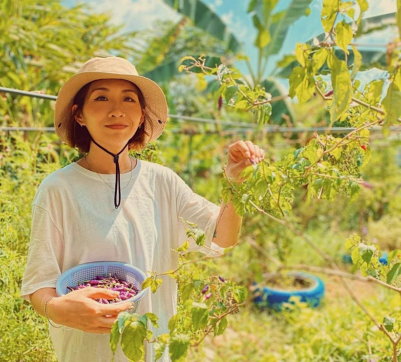 Societal Impact Image